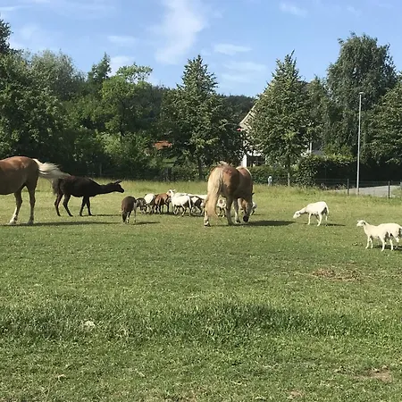 Hotel Lovely In K Hlungsborn Near Sea