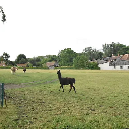 Lovely Farmhouse In K Hlungsborn Near Sea Holiday home